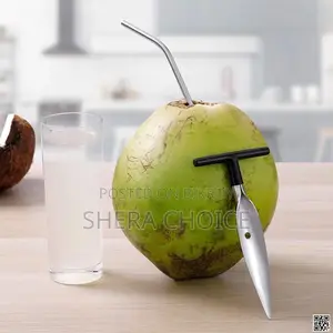 Coconut Hole Opener Tool