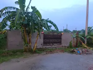 Sector 20, South-Facing 3 Katha Plot with 75ft Wide Road