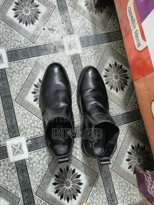 Chelsea Boot Cat
