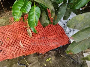 প্লাস্টিকের বেড়া