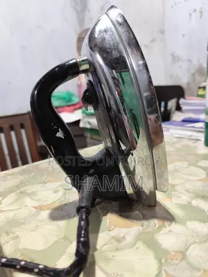 Singer Iron