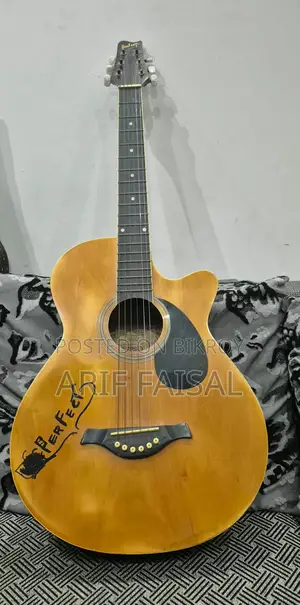Acoustic Guitar