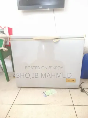 Singer Deep Fridge