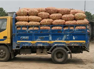 একজন দক্ষ লোক প্রয়োজন