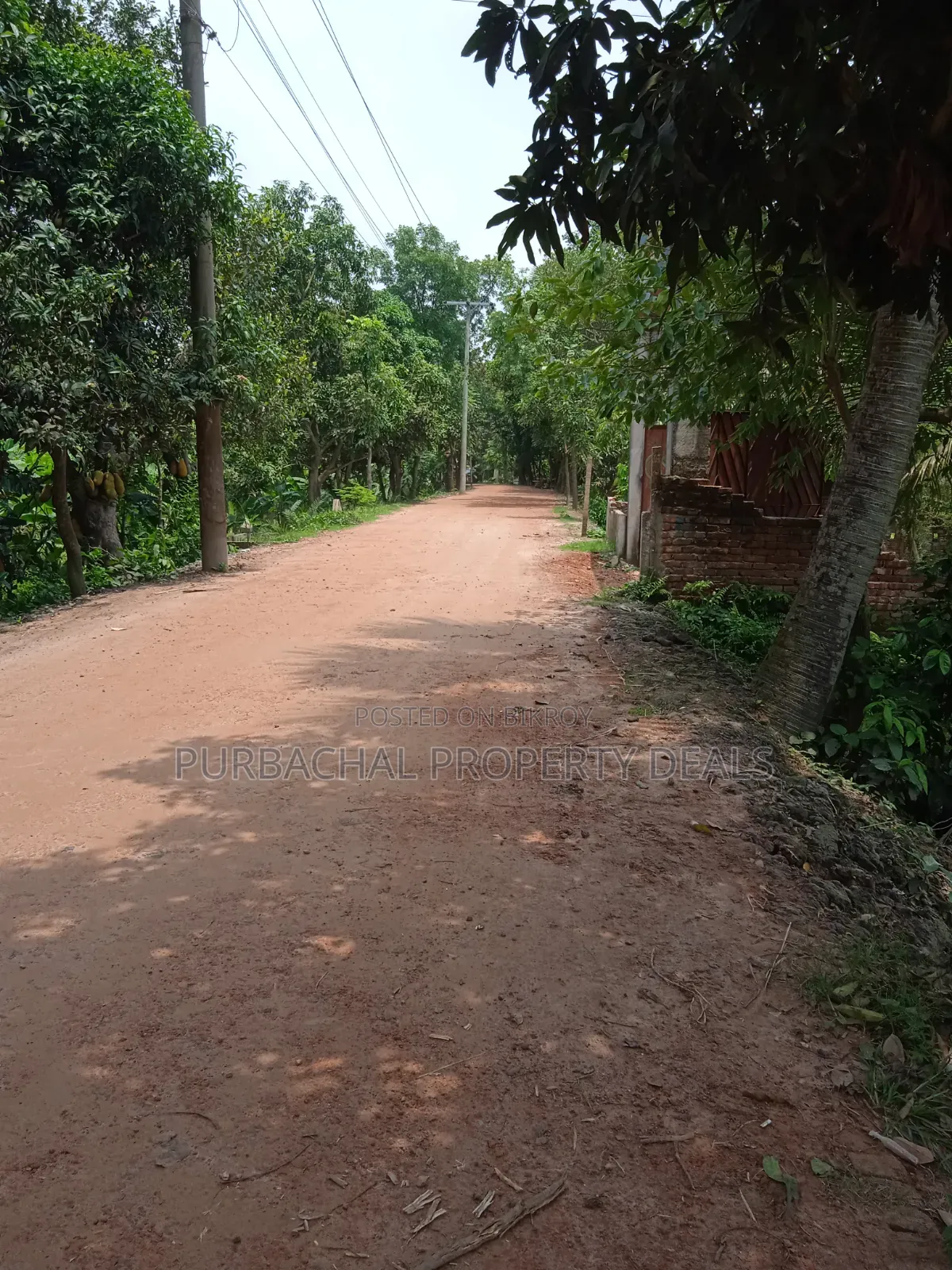 কালিগঞ্জ উপজেলায় ২৪ ফিট রোড সংলগ্ন ৩১ শতাংশ প্রিমিয়াম জমি বিক্রয়!