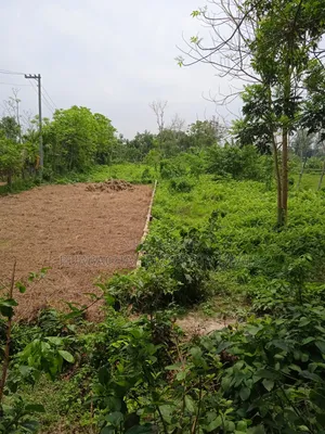 কালিগঞ্জ উপজেলায় ২৪ ফিট রোড সংলগ্ন ৩১ শতাংশ প্রিমিয়াম জমি বিক্রয়!