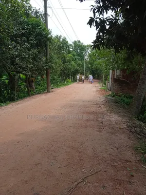 কালিগঞ্জ উপজেলায় ২৪ ফিট রোড সংলগ্ন ৩১ শতাংশ প্রিমিয়াম জমি বিক্রয়!