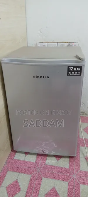 ইলেক্ট্রা মিনি রেফ্রিজারেটর