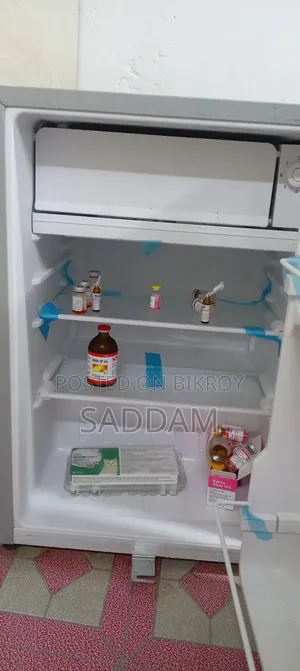 ইলেক্ট্রা মিনি রেফ্রিজারেটর