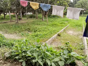 প্লট আকারে জমি বিক্রয়