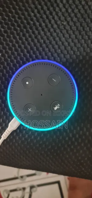 Amazon Alexa Google Assistant