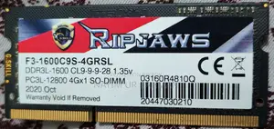 G.Skill Ripjaws 4GB DDR3 1600MHz SO-DIMM Laptop RAM