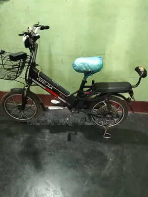 Baby Cycle