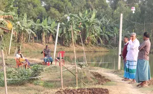 10 Decimals of Trouble-Free Land for Sale