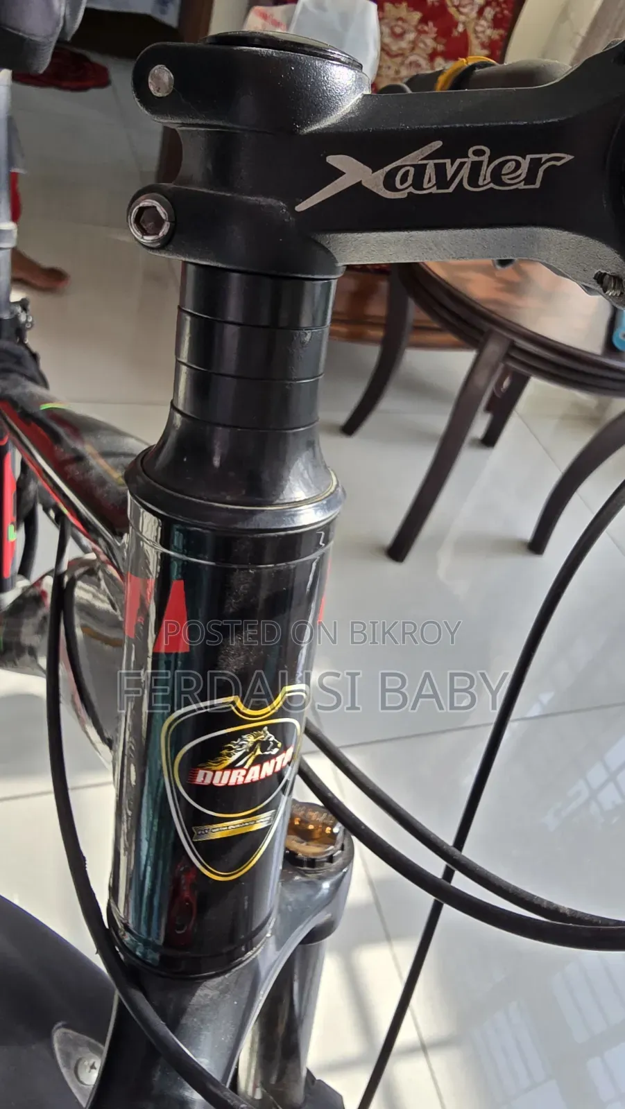 Racing Bicycle - Duranta Xavier
