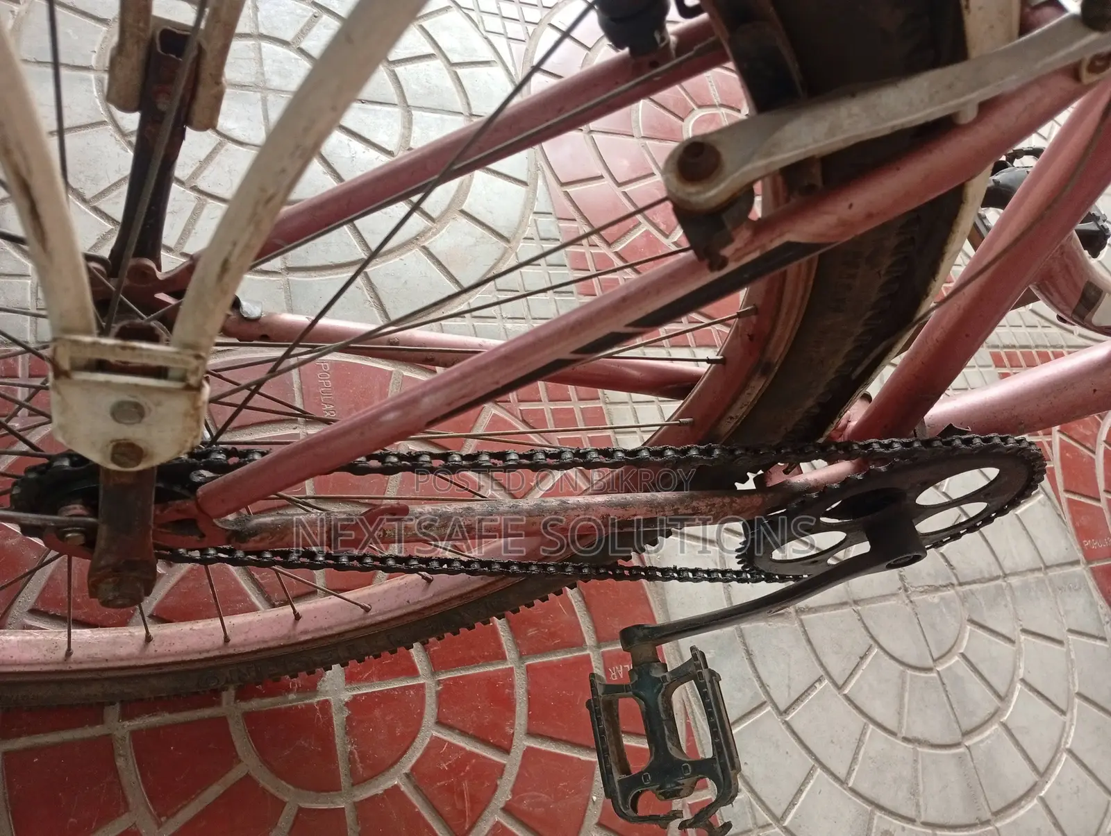 Ladies Cycle