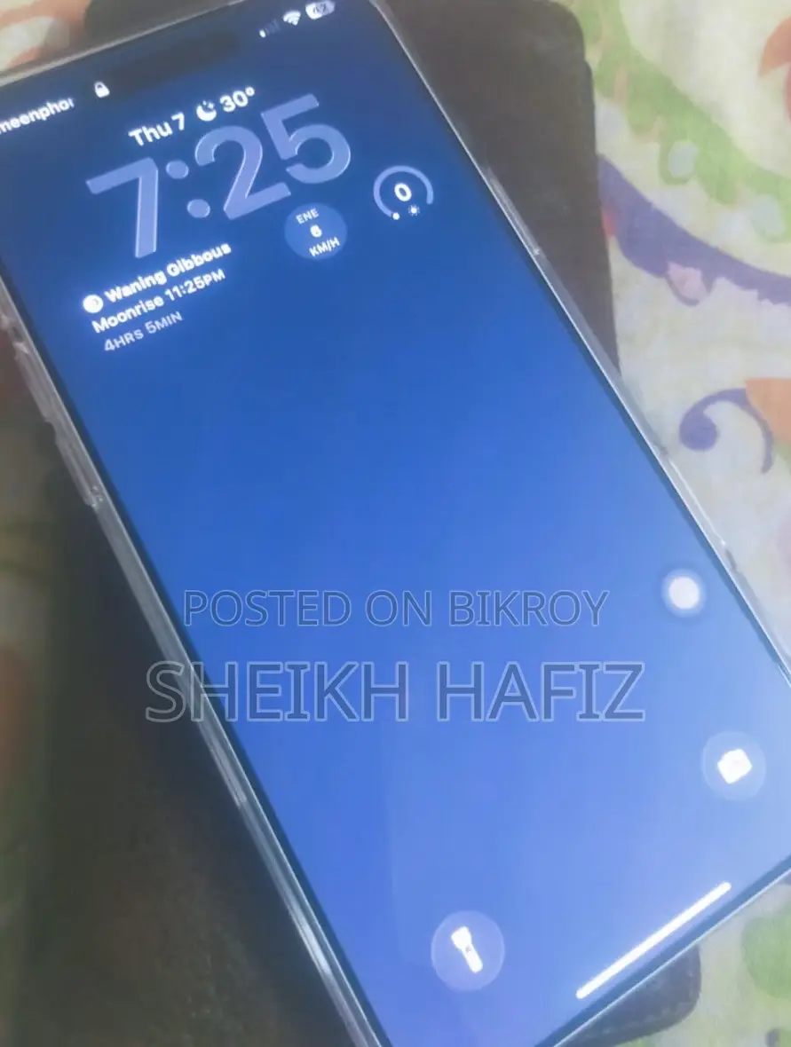 Apple iPhone 17 Pro Max 256 GB Silver
