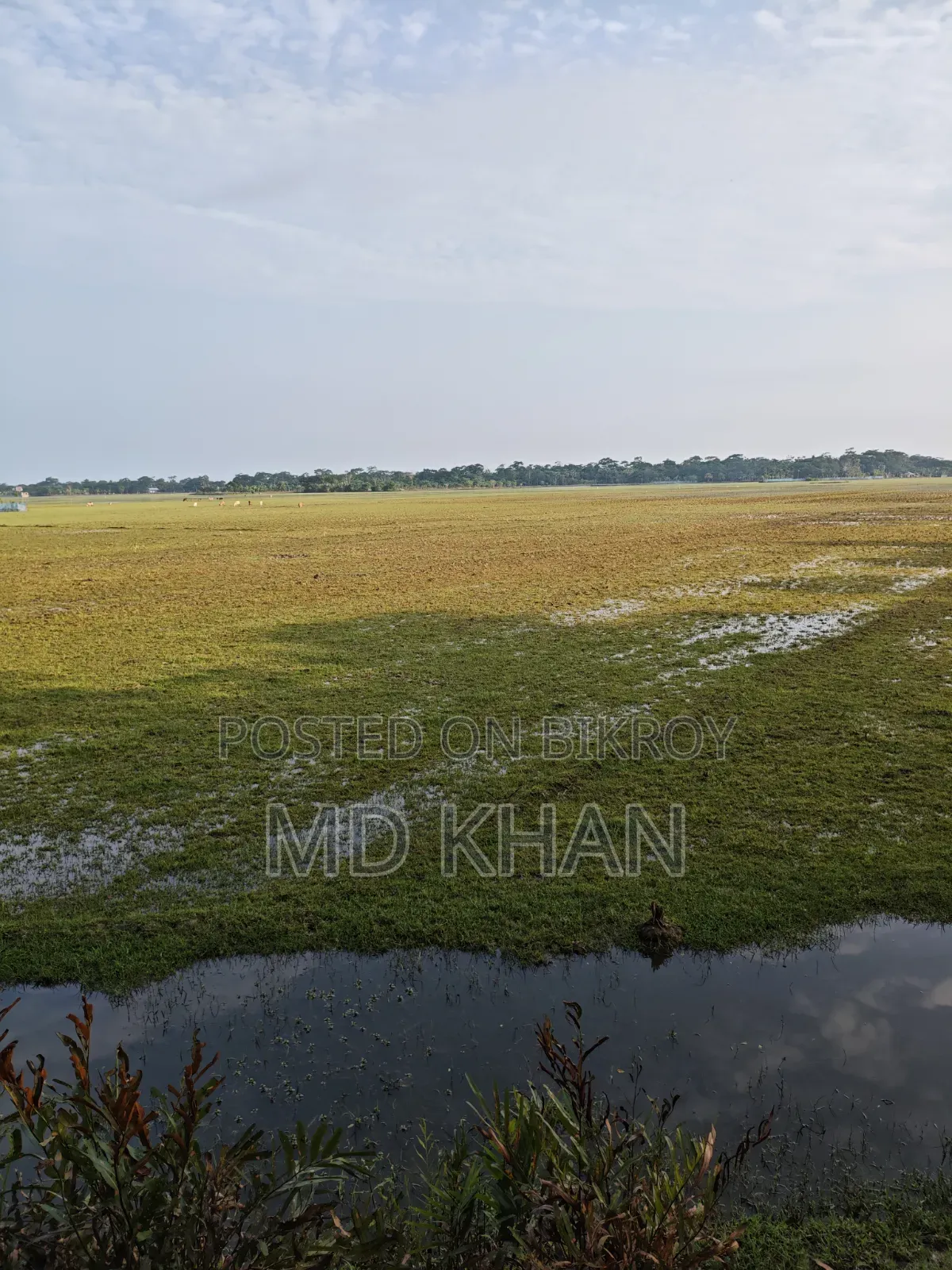 Land in a Prime Location