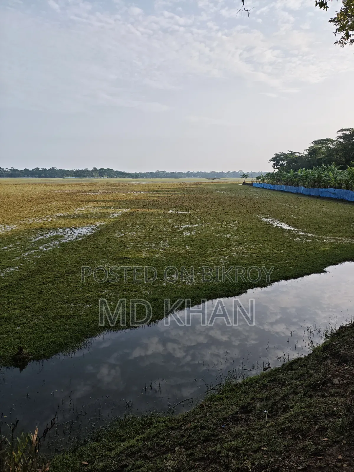 Land in a Prime Location