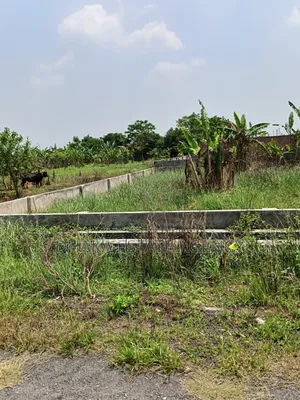 Block- P-Ext, 100×40 Feet Corner 20 Katha Plot Sale
