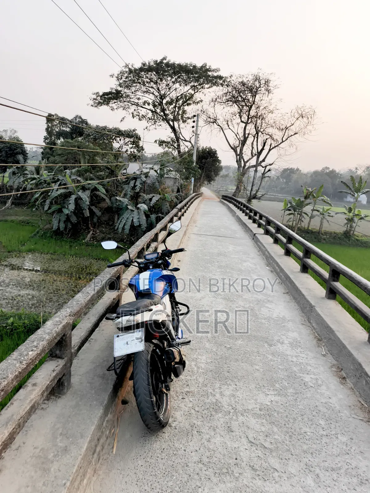 TVS Apache 160 4V 2019 Blue