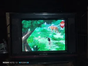 Rangs 19" Tv