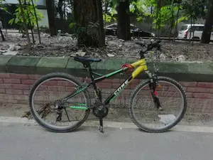 Lion Core Spike মাউন্টেন বাইক (ভালো কন্ডিশন)
