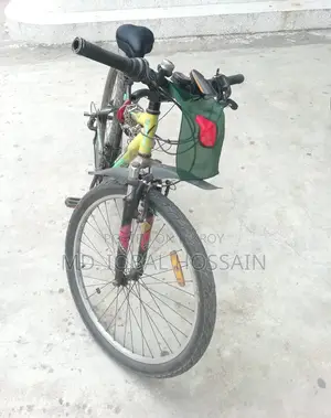Lion Core Spike Mountain Bike (Good Condition)