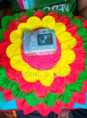 Digital Camera