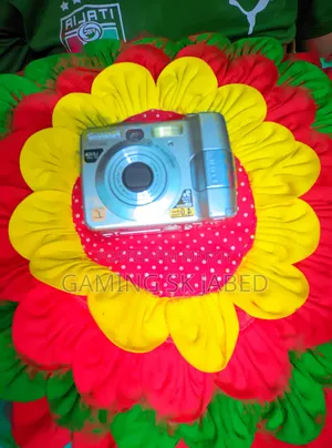 Digital Camera
