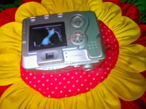 Digital Camera