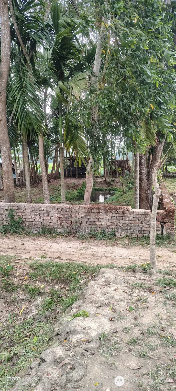 Urgent Sale: 6 Decimal Land in a Beautiful Location