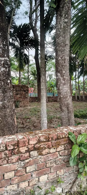 Urgent Sale: 6 Decimal Land in a Beautiful Location