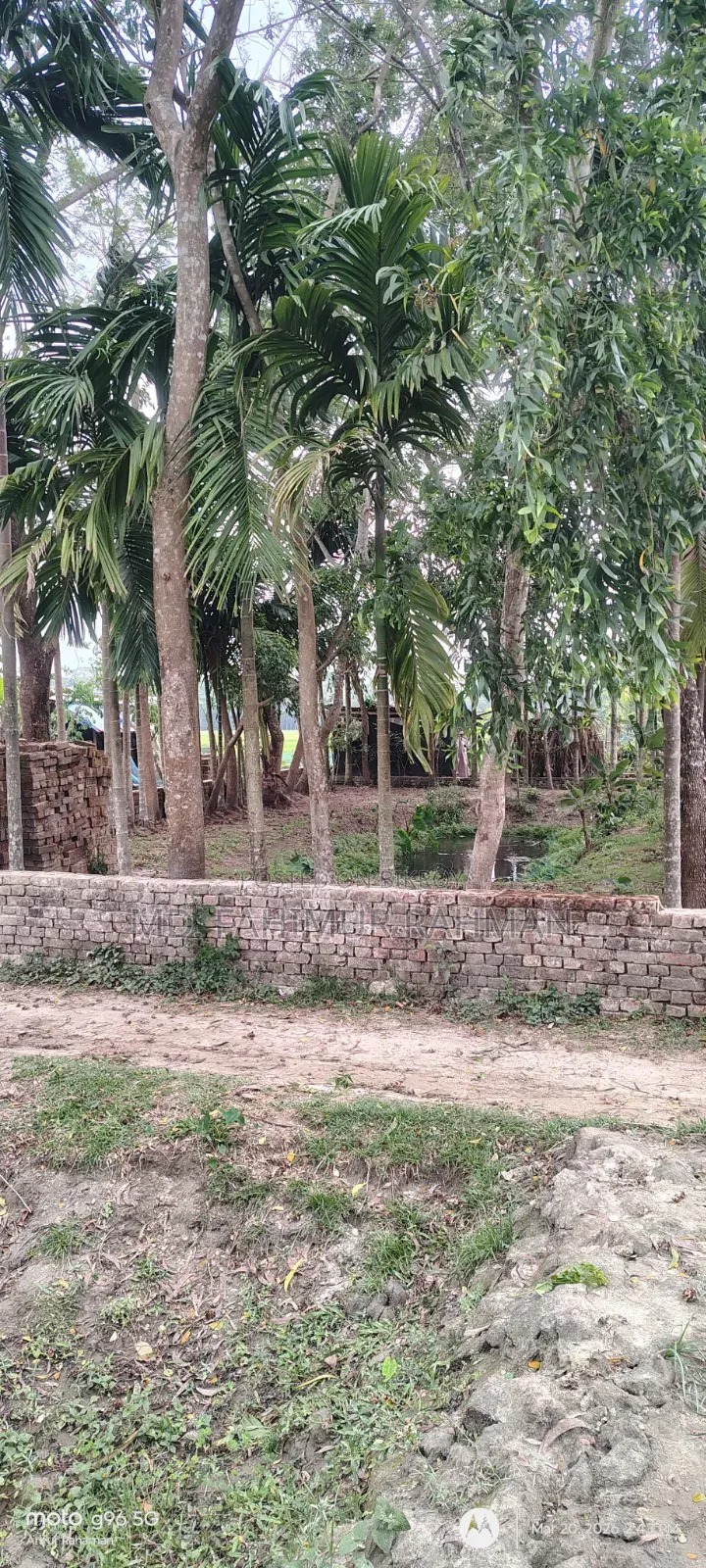 Urgent Sale: 6 Decimal Land in a Beautiful Location