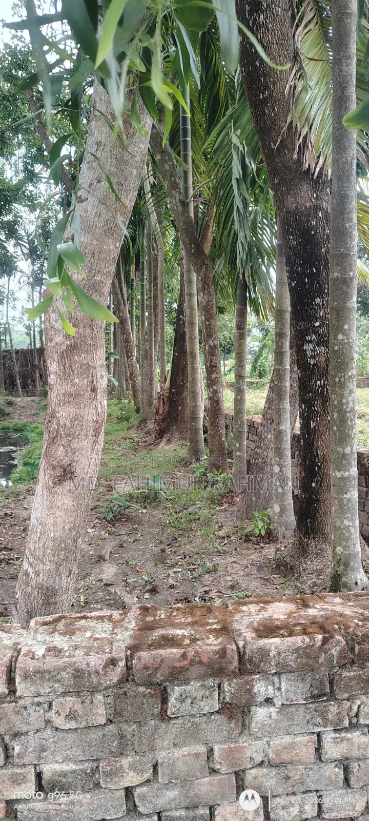 Urgent Sale: 6 Decimal Land in a Beautiful Location