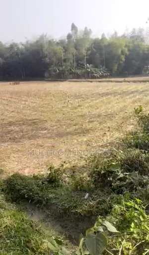 120 Bigha Agricultural Land for Sale in Bhaluka