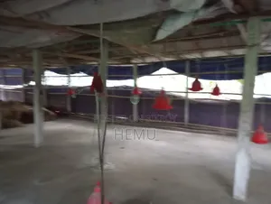 খামার বিক্রয়