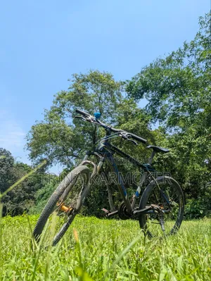 Phoenix Cycle