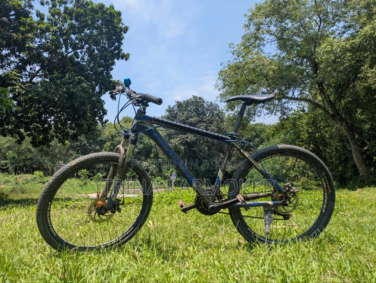 Phoenix Cycle