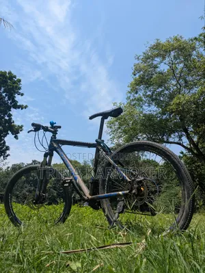 Phoenix Cycle