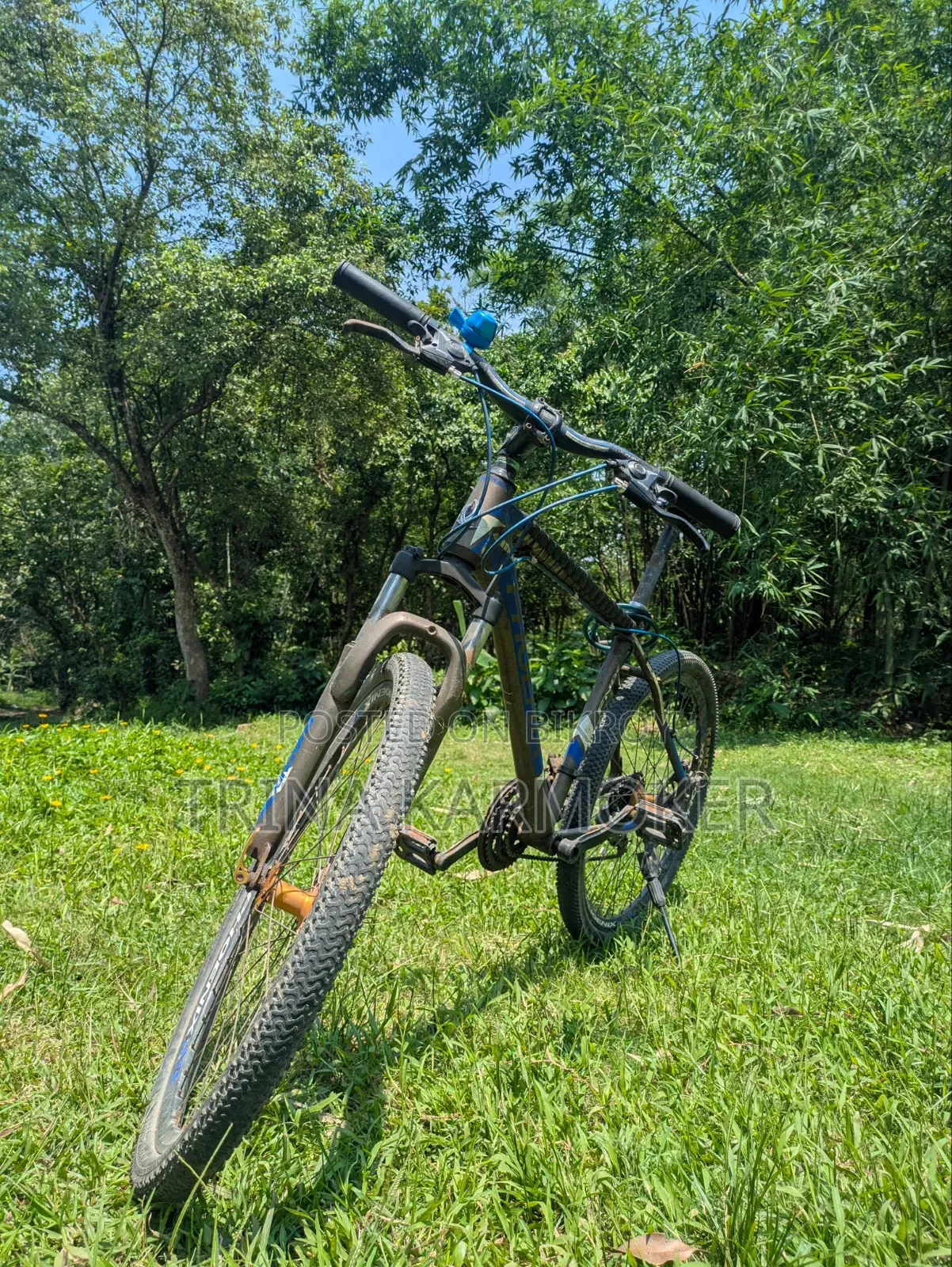 Phoenix Cycle