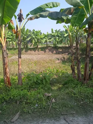 পূর্বাচল সংলগ্ন আধুনিক আবাসিক এলাকায় ৭ শতাংশ জমি বিক্রি!