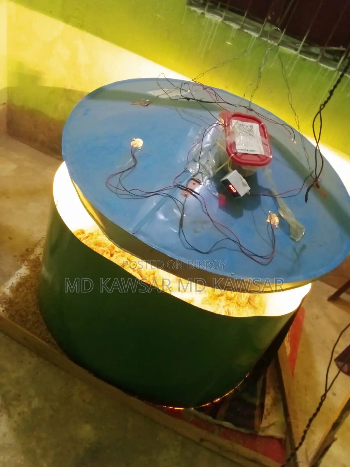 উন্নত জাতের মিশরীয় ফাওমি মুরগি ও বাচ্চা - মীরসরাই/বারৈয়ারহাট