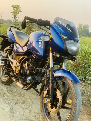 Bajaj Pulsar 150 2011 Blue