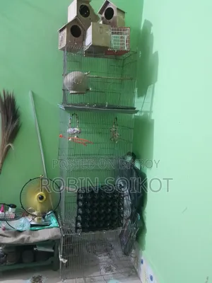 পাখির খাচা