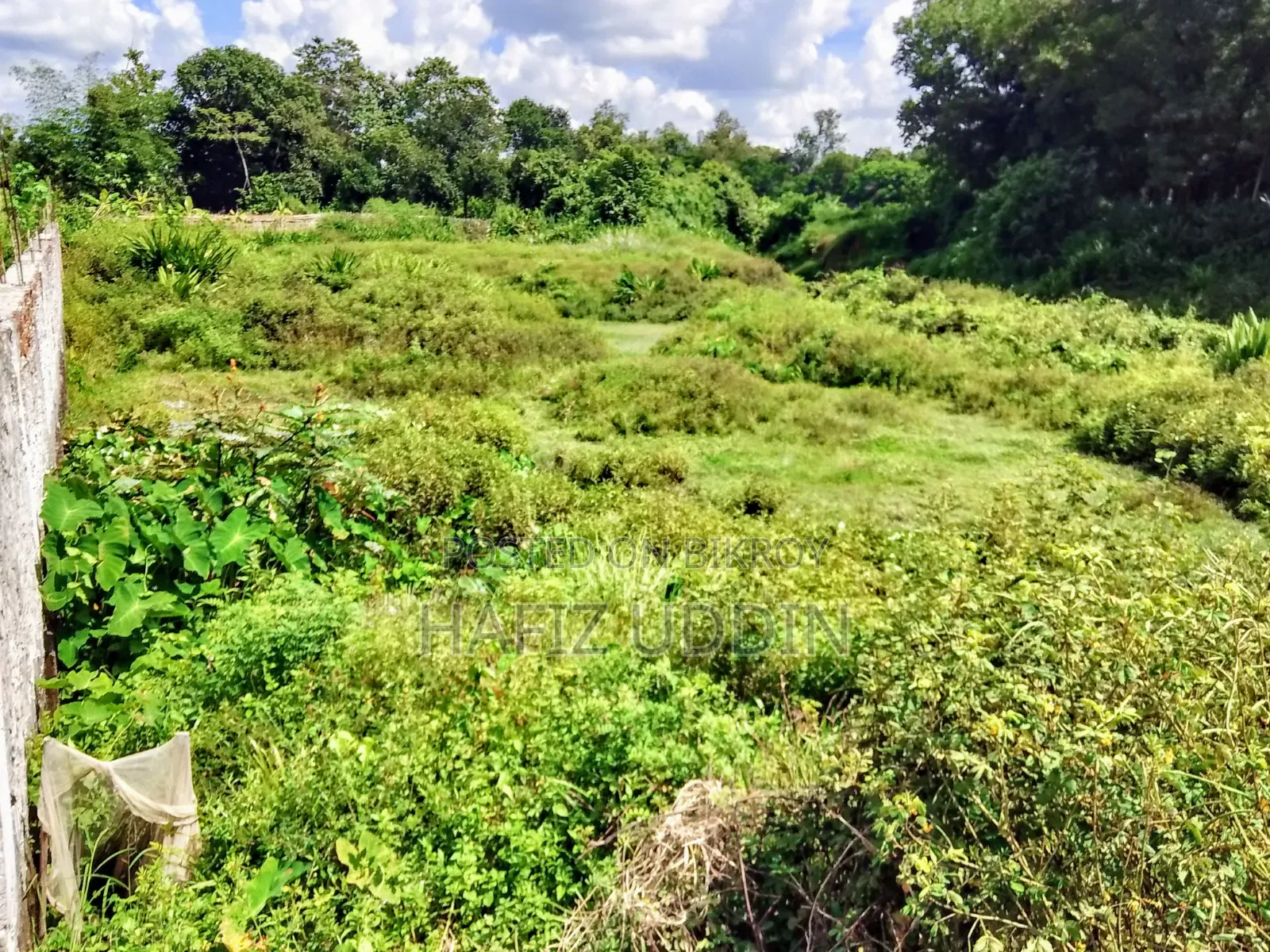 Land for Sale