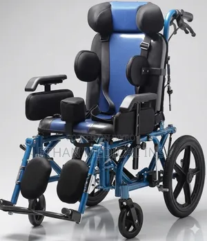 Wheelchair for Children and Adults with Cerebral Palsy
