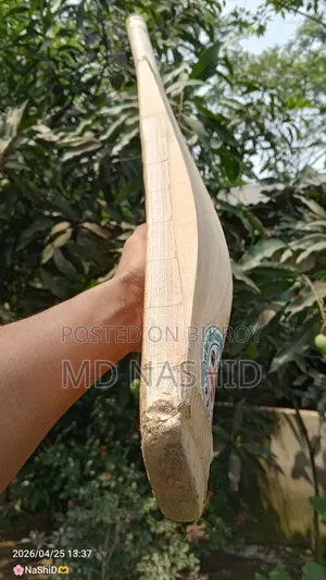 Cricket Bat Kashmir Willow