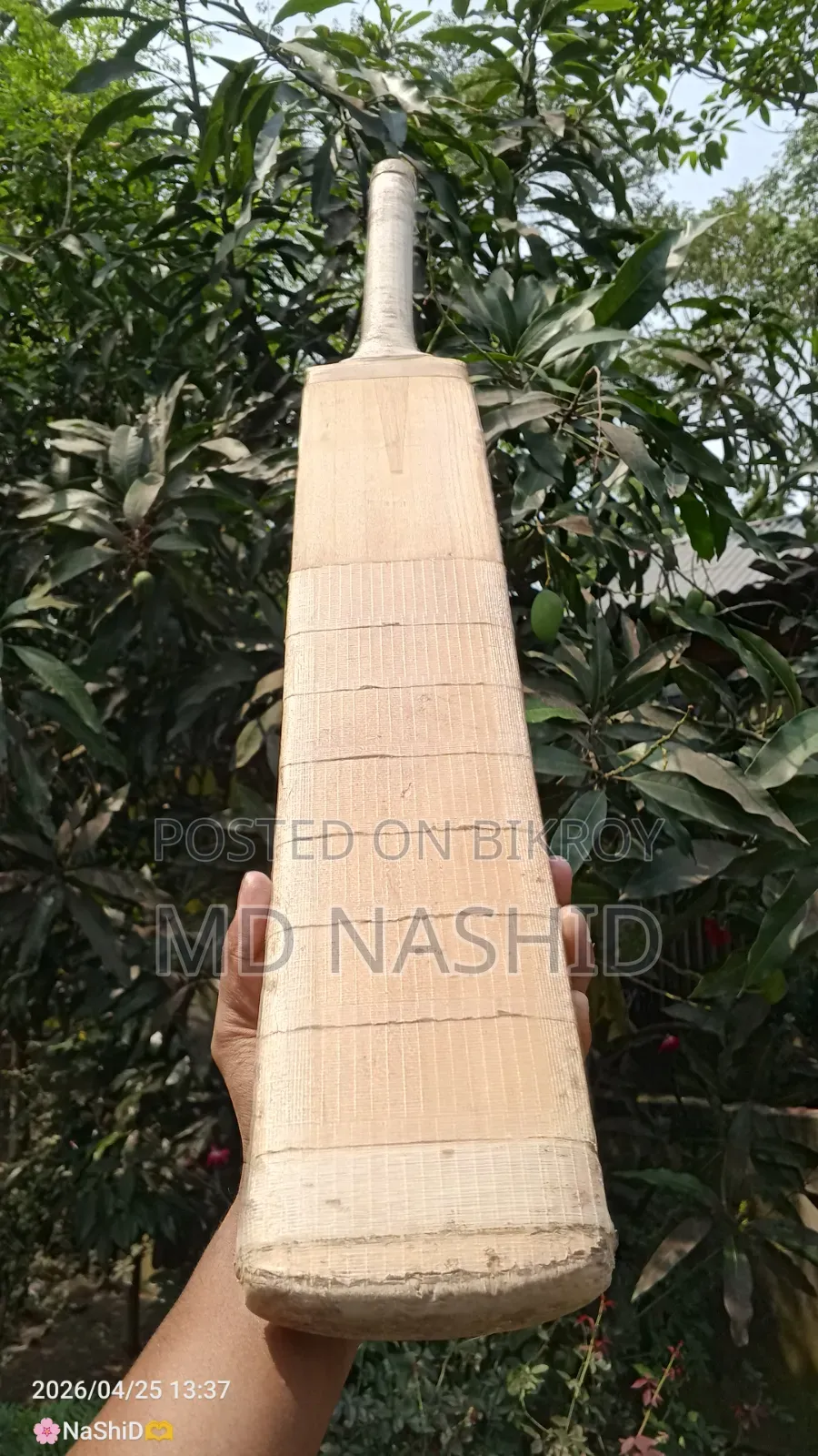 Cricket Bat Kashmir Willow