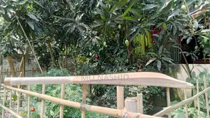 Cricket Bat Kashmir Willow